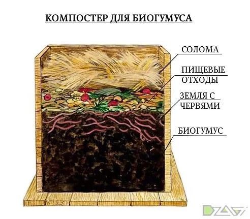 цех биогумуса